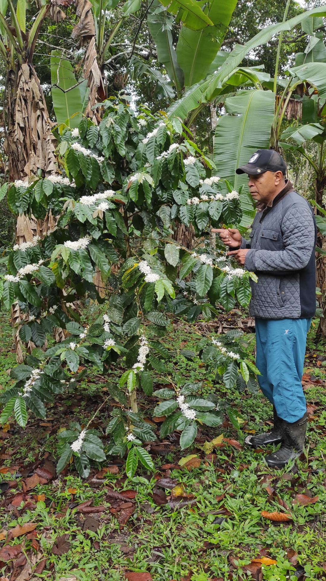 img_20230312_084131_1_1x