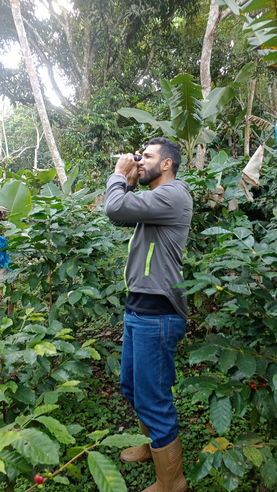 img_20241215_075745_804_1_1x