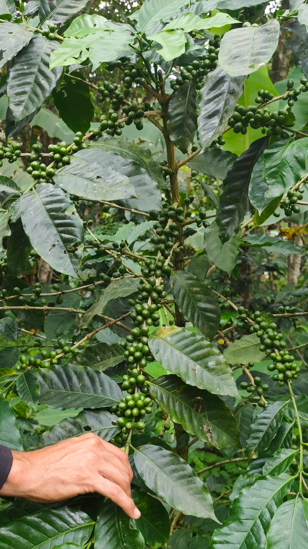 img_20250712_112321_1_1x