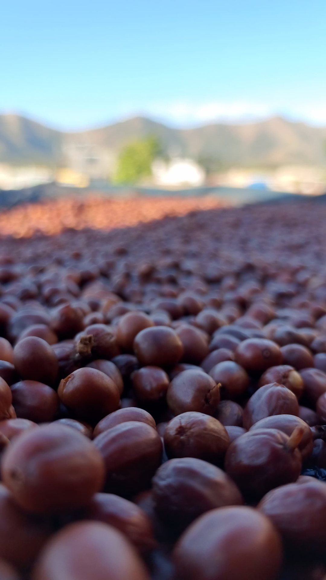 whatsapp_image_2025_07_22_at_16_44_52_1__1x