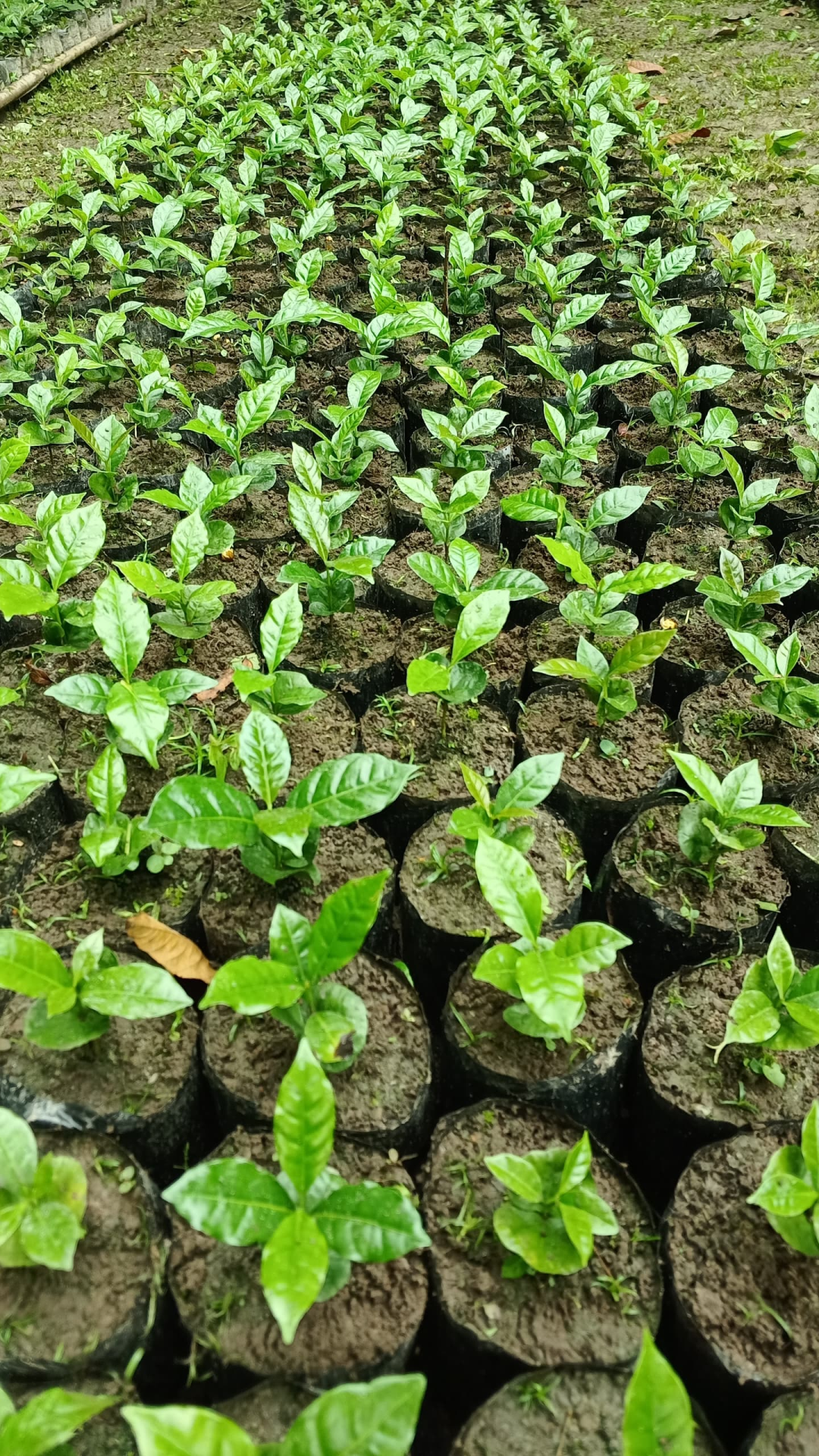 whatsapp_image_2025_07_22_at_16_44_52_1x