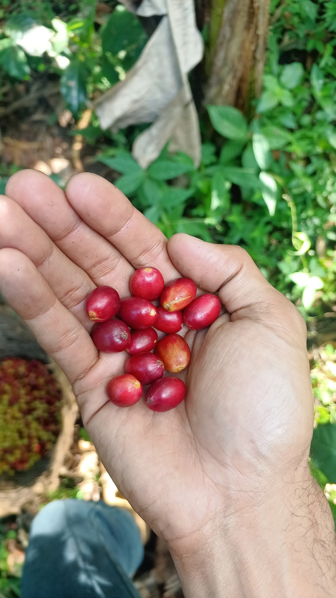 whatsapp_image_2025_07_22_at_16_44_52_2__1x